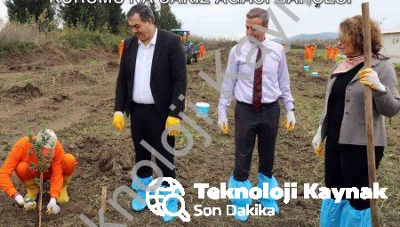 Dalaman’da Tarımsal Kalkınma: Ceza İnfaz Kurumu’na Sakız Ağacı Bahçesi