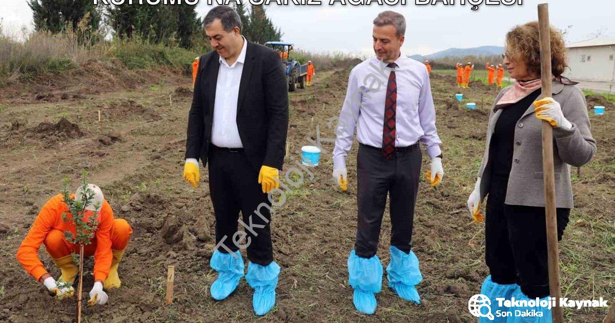 "Dalaman'da Tarımsal Kalkınma: Ceza İnfaz Kurumu'na Sakız Ağacı Bahçesi" başlıklı haber için fotorea