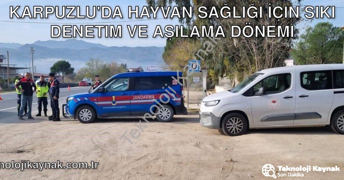 "Karpuzlu'da Hayvan Sağlığı İçin Sıkı Denetim ve Aşılama Dönemi" başlıklı haber için fotorealistik,