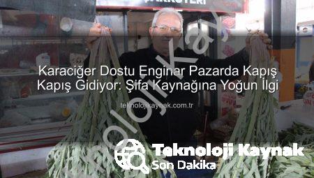 Karaciğer Dostu Enginar Pazarda Kapış Kapış Gidiyor: Şifa Kaynağına Yoğun İlgi
