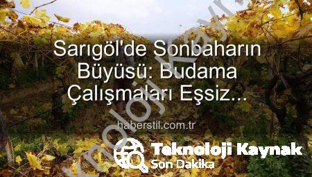 Sarıgöl’de Sonbaharın Büyüsü: Üzüm Bağlarında Kartpostallık Manzara Eşliğinde Budama Çalışmaları Devam Ediyor