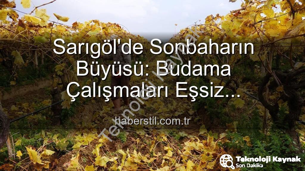 Sarıgöl üzüm bağları - Sarıgöl'de Sonbaharın Büyüsü: Üzüm Bağlarında Kartpostallık Manzara Eşliğinde Budama Çalışmaları Devam Ediyor