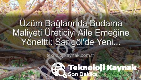 Üzüm Bağlarında Budama Maliyeti Üreticiyi Aile Emeğine Yöneltti: Sarıgöl’de Yeni Dönem
