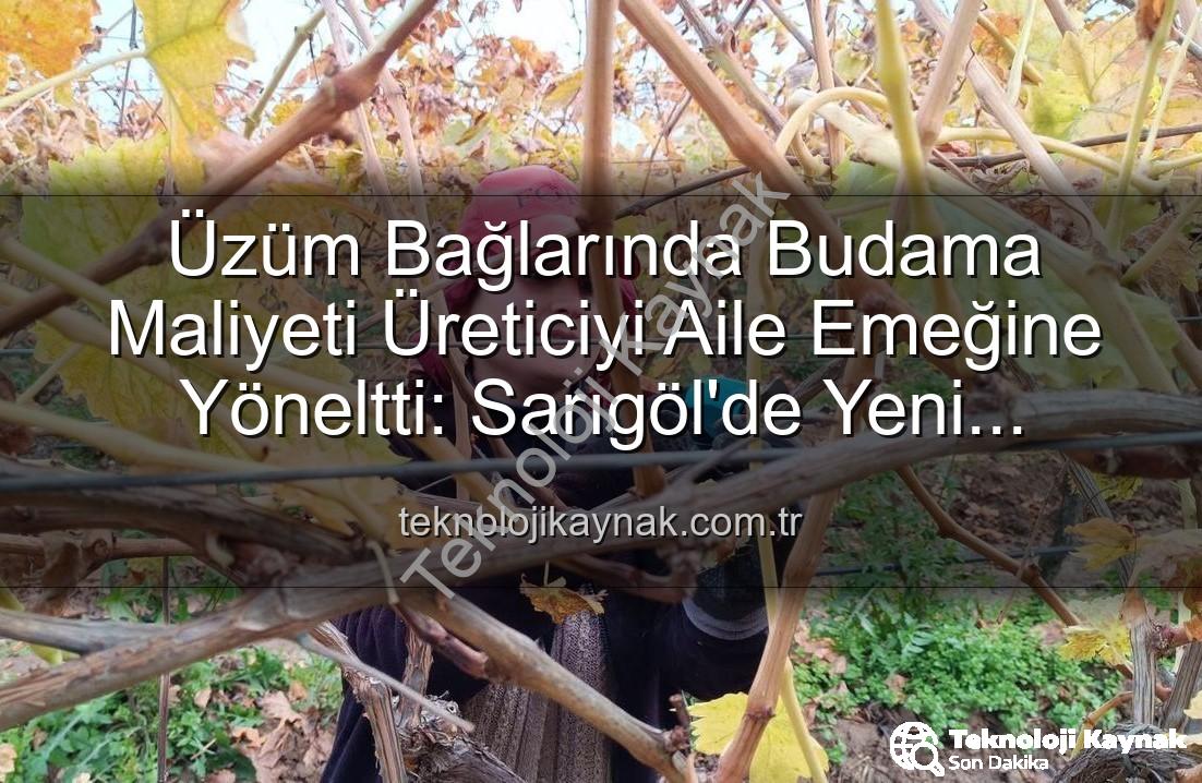 budama maliyeti - Üzüm Bağlarında Budama Maliyeti Üreticiyi Aile Emeğine Yöneltti: Sarıgöl'de Yeni Dönem