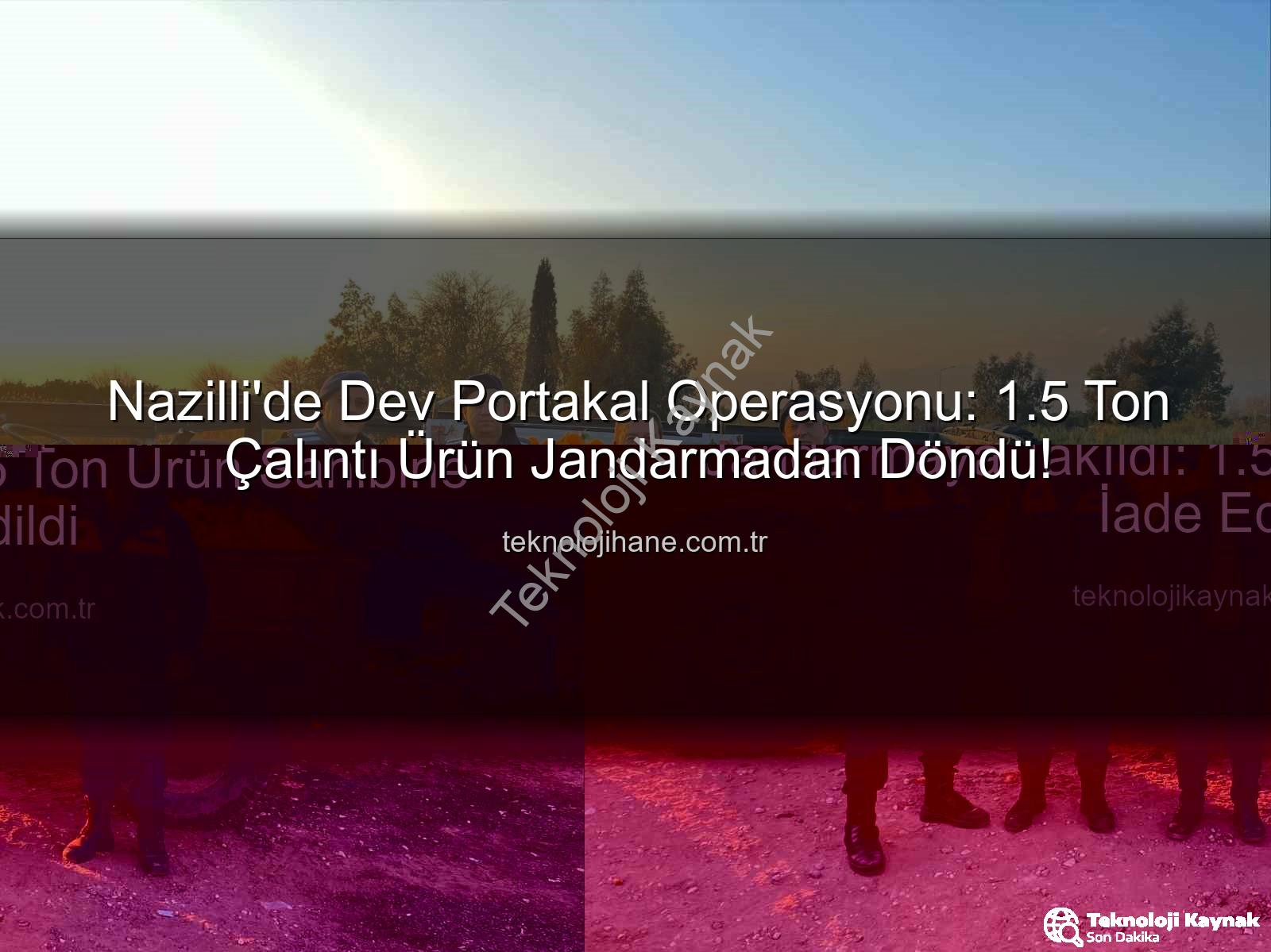 portakal hırsızlığı - Nazilli'de Dev Portakal Hırsızlığı Jandarmaya Takıldı: 1.5 Ton Ürün Sahibine İade Edildi