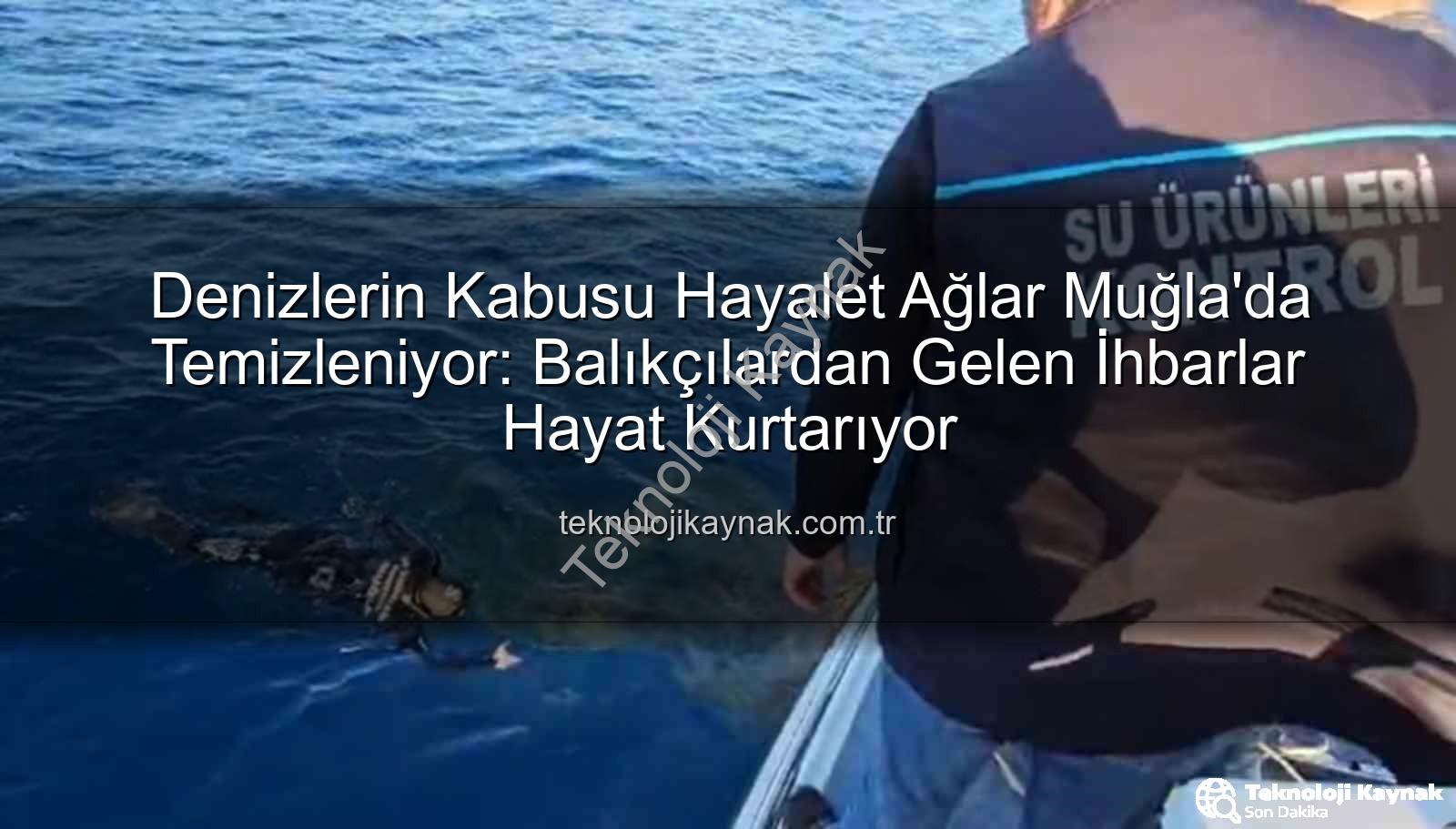 hayalet ağ temizleme - Denizlerin Kabusu Hayalet Ağlar Muğla'da Temizleniyor: Balıkçılardan Gelen İhbarlar Hayat Kurtarıyor