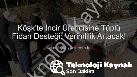 Köşk’te İncir Üreticisine Tüplü Fidan Desteği: Verimlilik Artacak!