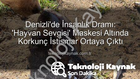 Denizli’de İnsanlık Dramı: ‘Hayvan Sevgisi’ Maskesi Altında Korkunç İstismar Ortaya Çıktı