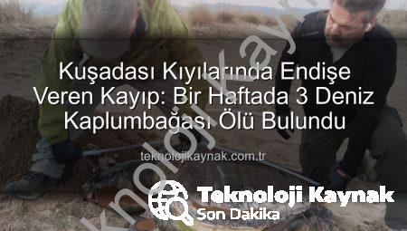Kuşadası Kıyılarında Endişe Veren Kayıp: Bir Haftada 3 Deniz Kaplumbağası Ölü Bulundu