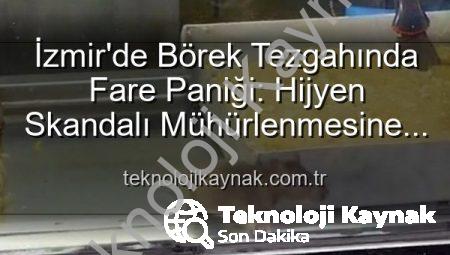 İzmir’de Börek Tezgahında Fare Paniği: Hijyen Skandalı Mühürlenmesine Neden Oldu