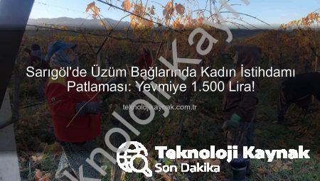 Sarıgöl’de Üzüm Bağlarında Kadın İstihdamı Patlaması: Yevmiye 1.500 Lira!