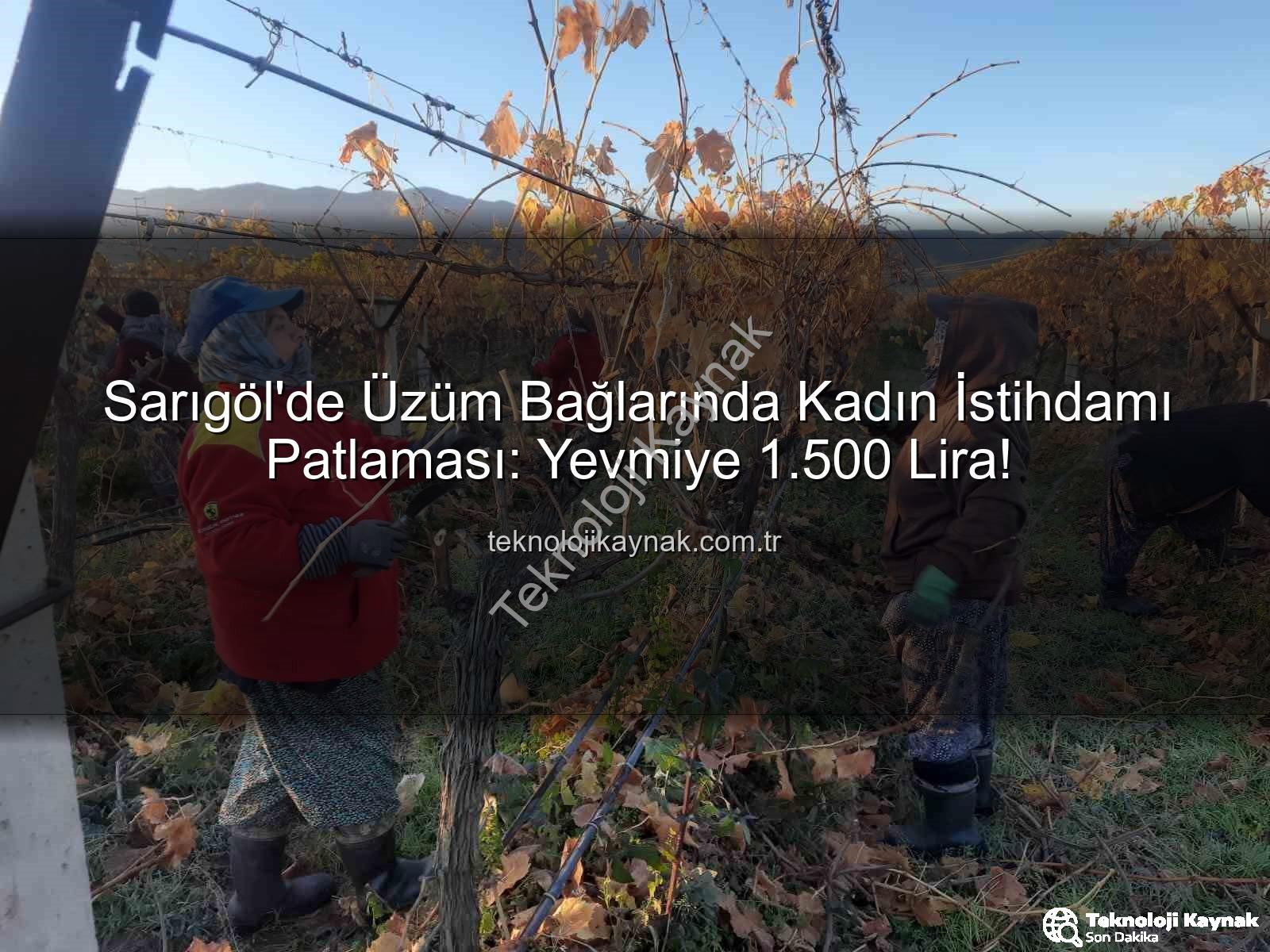 kadın istihdamı - Sarıgöl'de Üzüm Bağlarında Kadın İstihdamı Patlaması: Yevmiye 1.500 Lira!