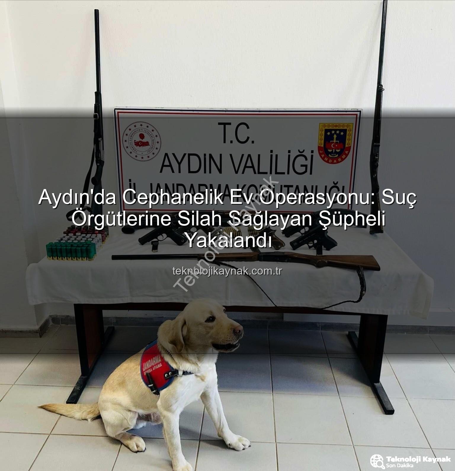 ruhsatsız silah - Aydın'da Cephanelik Ev Operasyonu: Suç Örgütlerine Silah Sağlayan Şüpheli Yakalandı