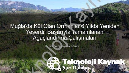 Muğla’da Kül Olan Ormanlar 6 Yılda Yeniden Yeşerdi: Başarıyla Tamamlanan Ağaçlandırma Çalışmaları