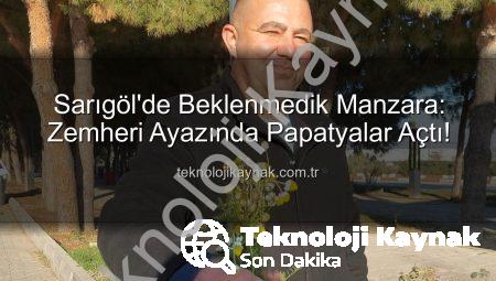 Sarıgöl’de Beklenmedik Manzara: Zemheri Ayazında Papatyalar Açtı!